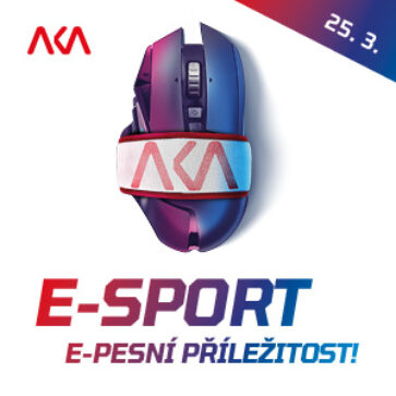 aka-esport-plakat-300×300-21